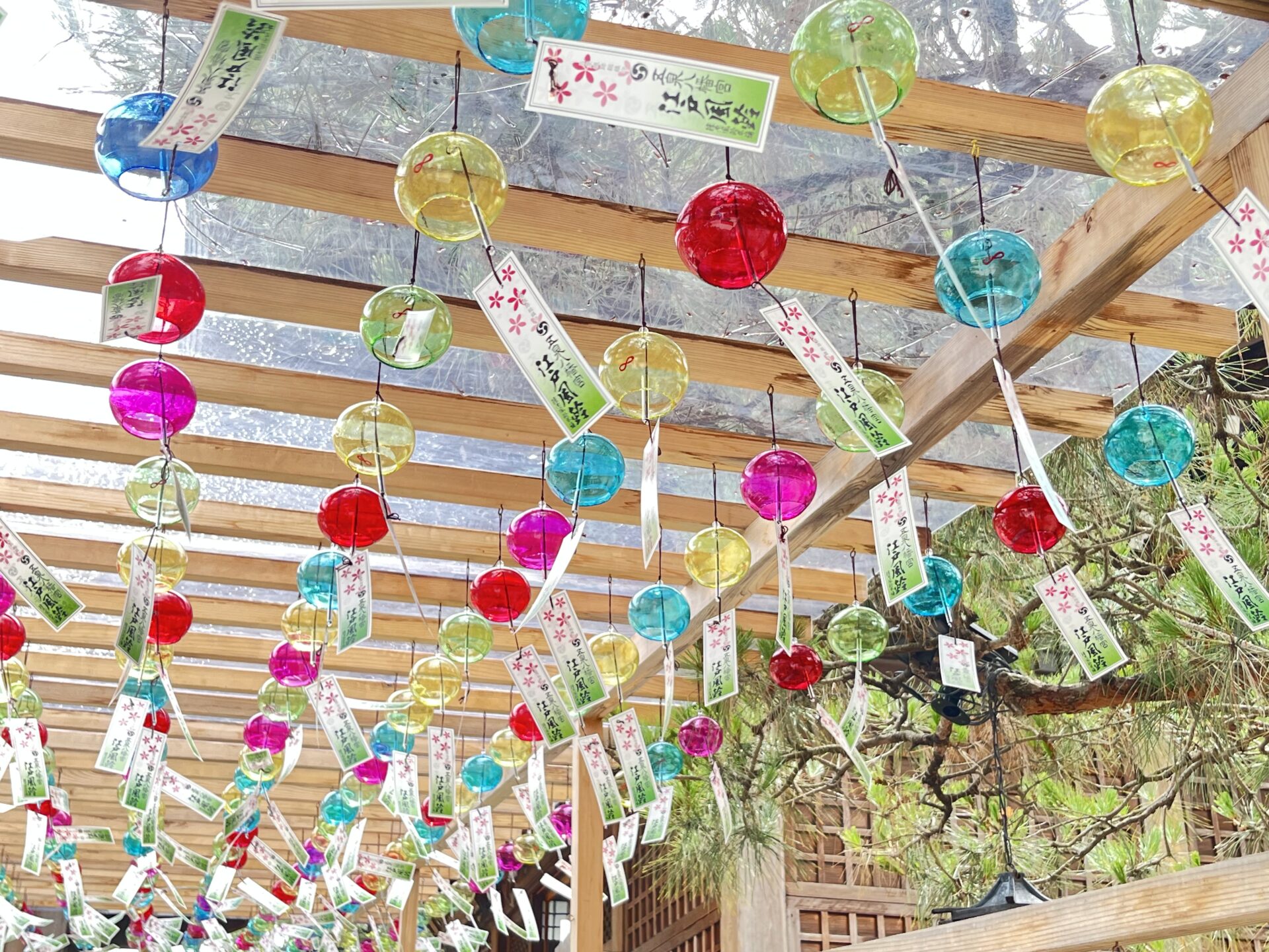Gosen Hachimangu Tanabata Festival☆Milky Way Tour