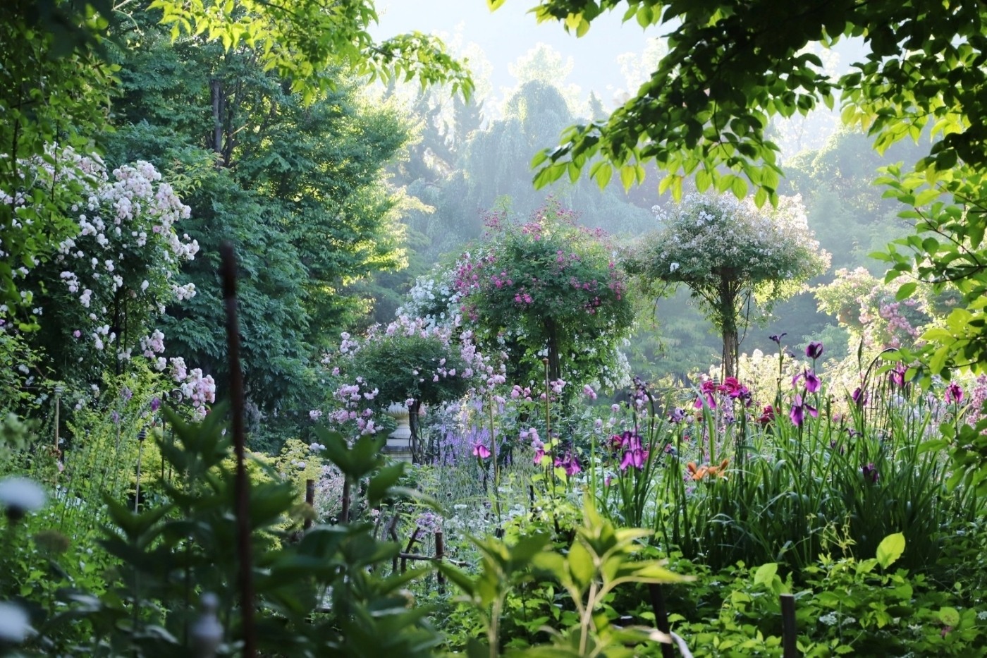 English Garden ローザンベリー多和田「バラと宿根草の庭」