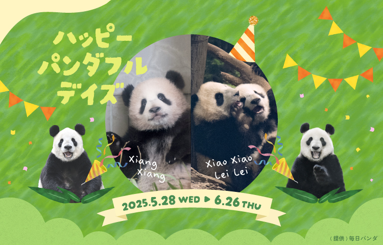Matsuzakaya Ueno Happy Pandaful Days