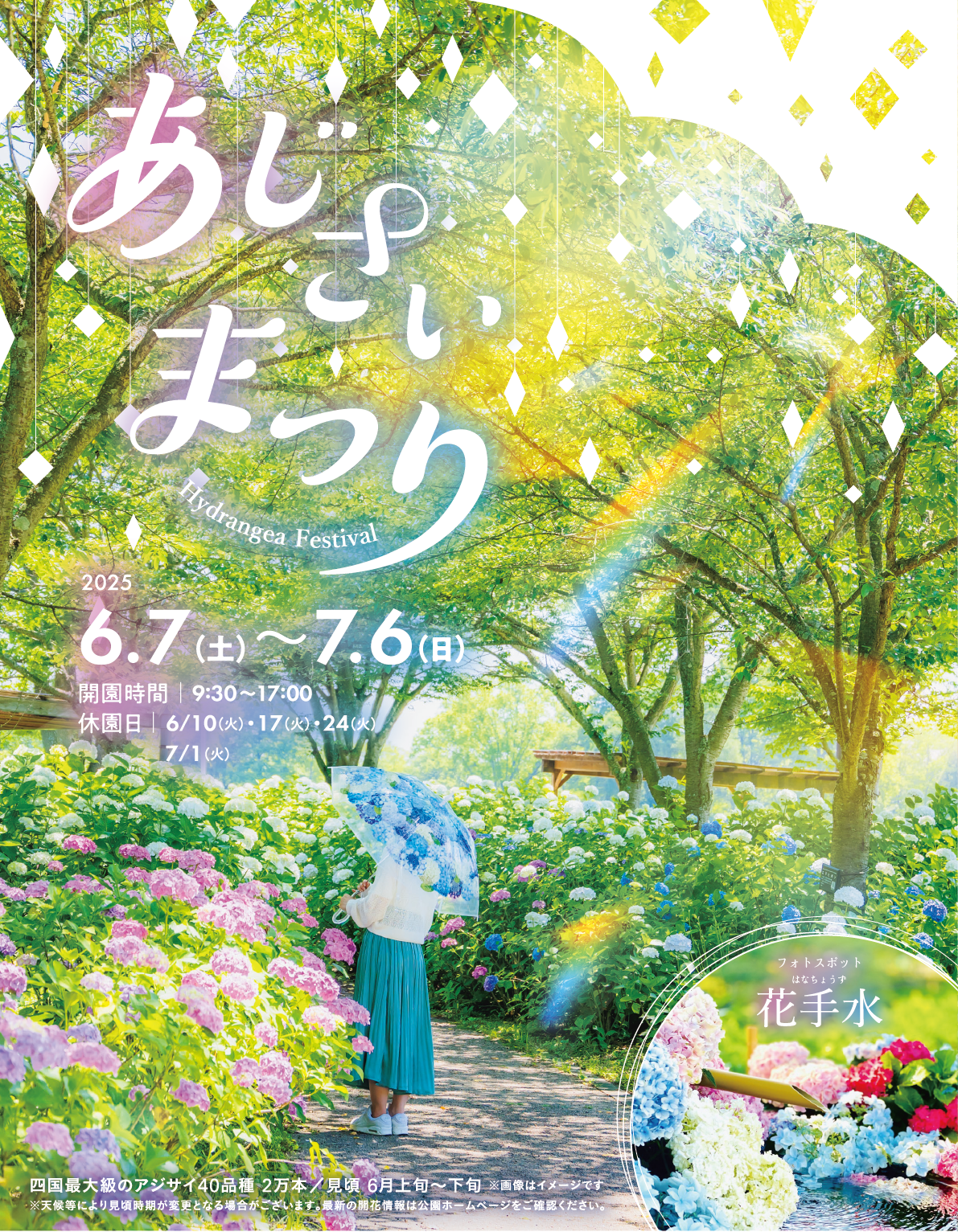 Sanuki Mannō National Park Hydrangea Festival