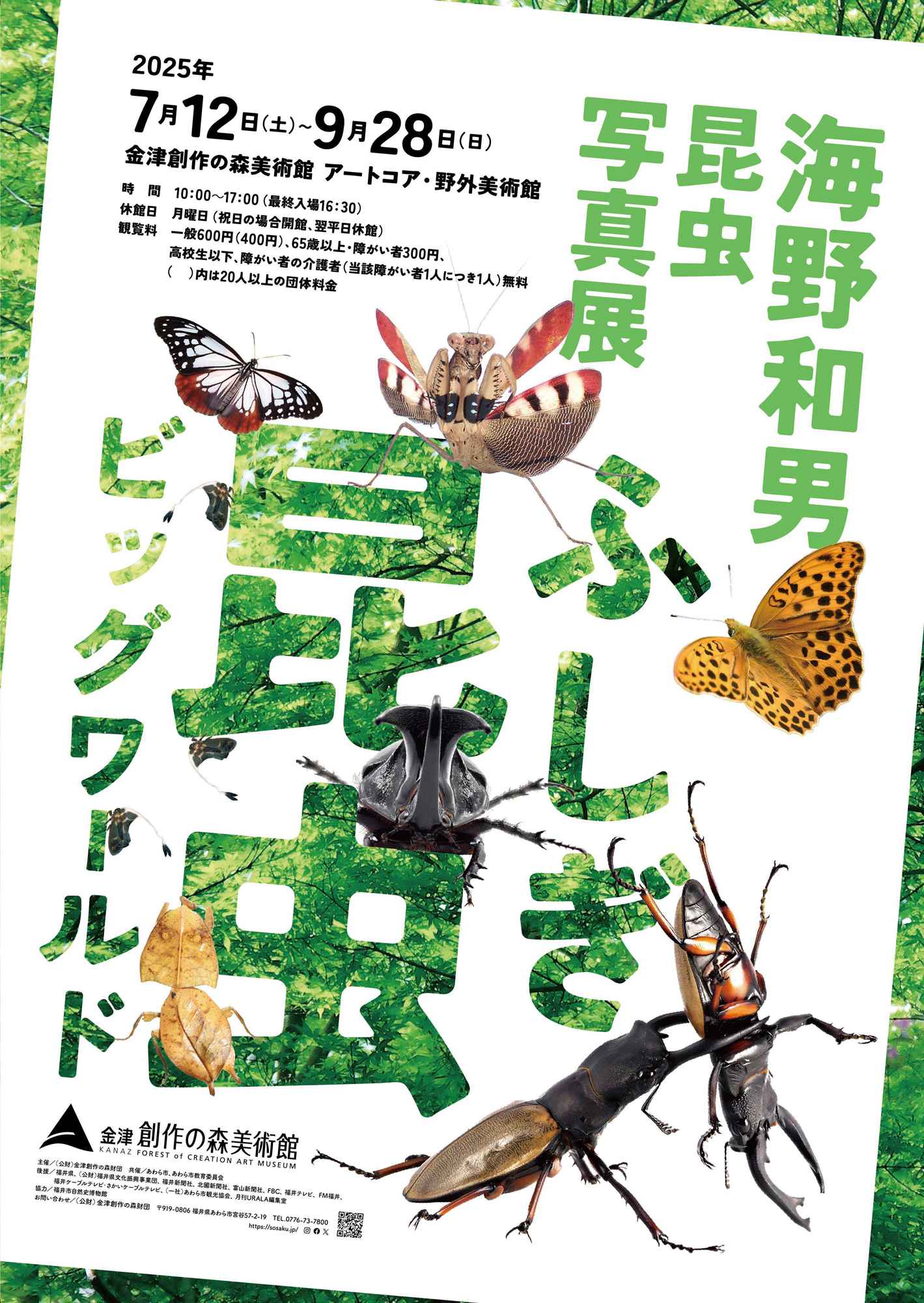 804f3241d9f3483a9956560d1e4917