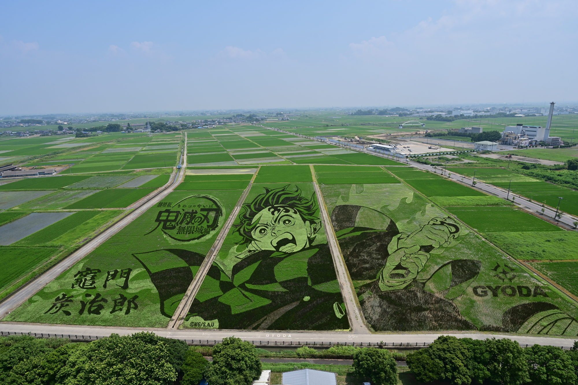 iwafu - World's Largest Rice Paddy Art 2025｜Japan's Limited-Time