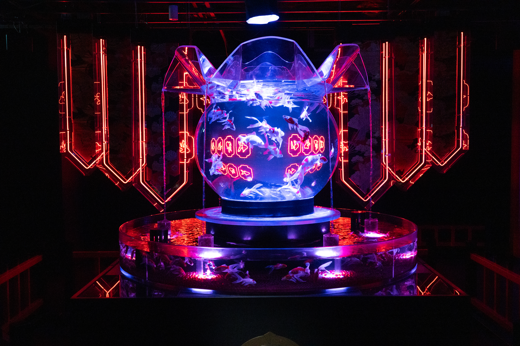 iwafu - Summer Art Aquarium 2025｜Japan's Limited-Time