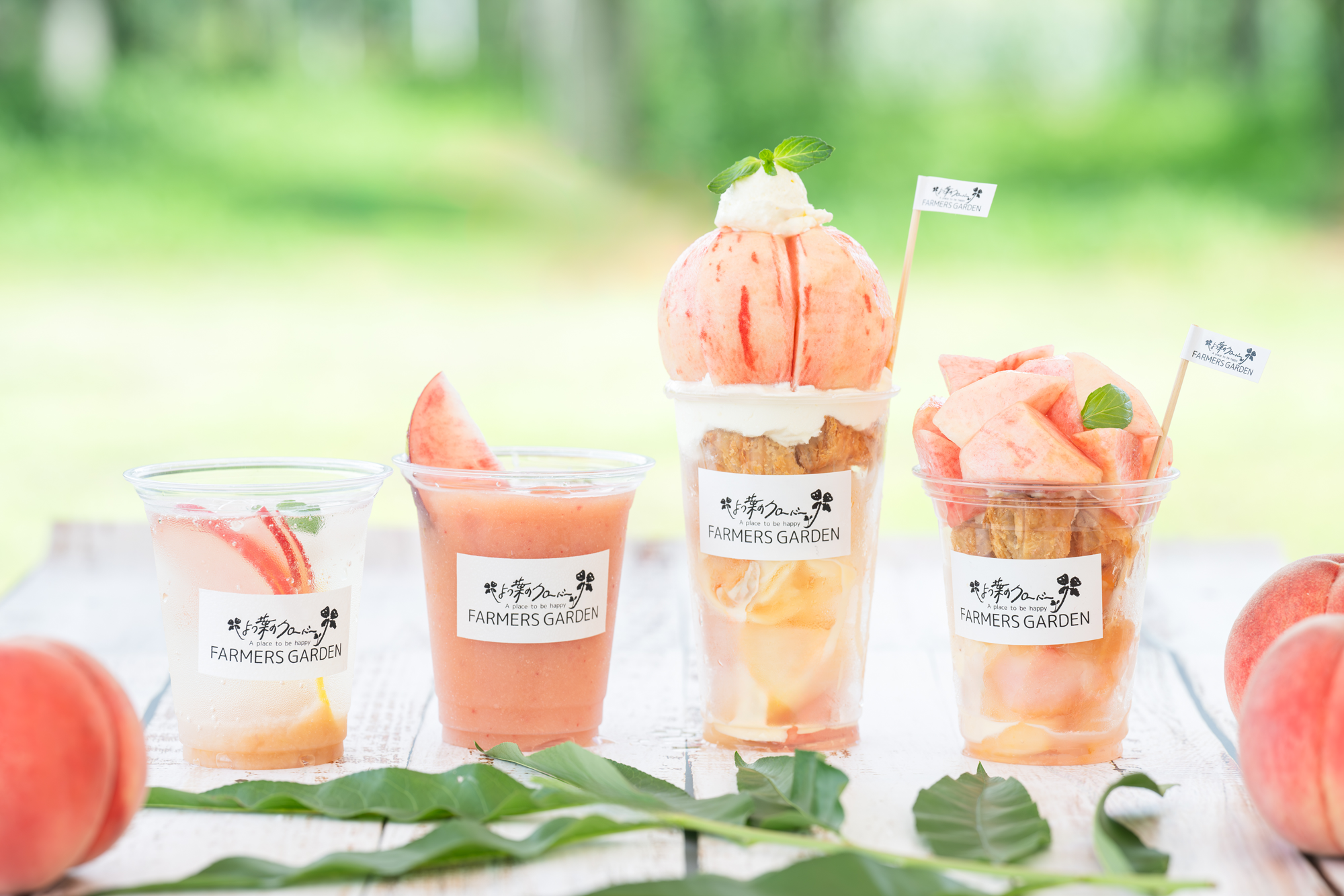 値下げ限界‼️早い者勝ち 新渡品 江戸後期から明治初 芙蓉 花鳥文 9客セット 値下げ限界‼️早い者勝ち 新渡品 江戸後期から明治初 芙蓉 花鳥