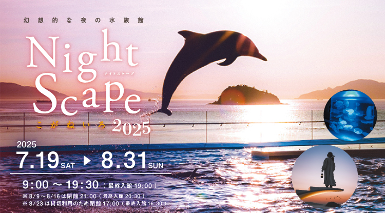 「海から月へ」 iwafu - 四国水族館 Nightscapeこがねいろ2025｜日本期間限定