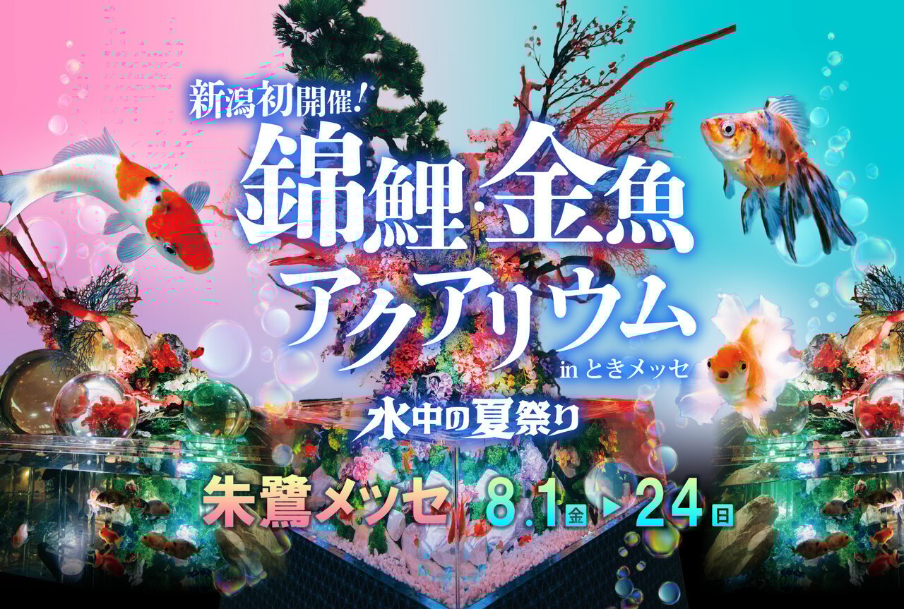 iwafu - 錦鯉・金魚アクアリウム in ときメッセ｜日本期間限定