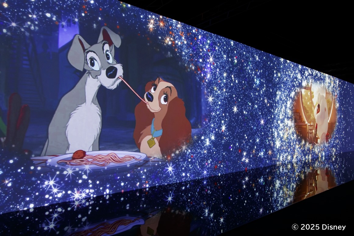 iwafu - Disney Animation Immersive Experience｜Japan's Limited