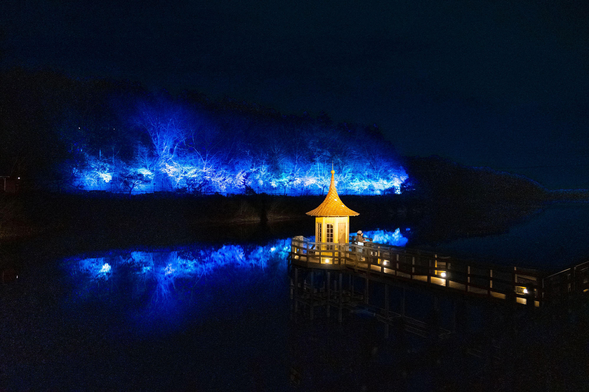 [超希少] 加藤工芸 LEDライト付オルゴール ムーミン谷の夏まつり 花のワルツ iwafu - ムーミン谷のクリスマス｜日本期間限定文化旅行ガイド