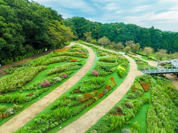 iwafu - 秋の里山ガーデンフェスタ｜日本期間限定文化旅行ガイド｜深い