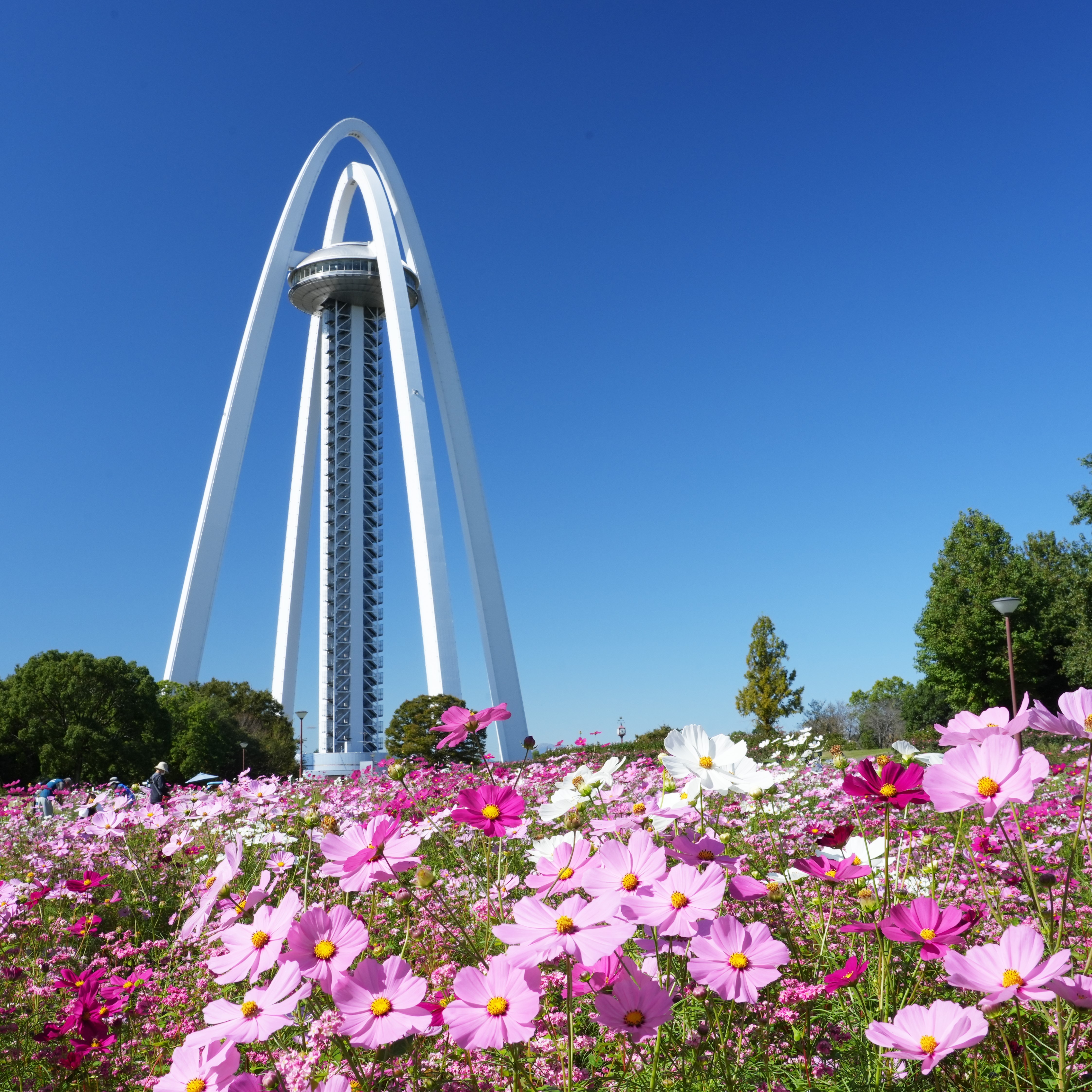 花 その他 Hanami adidas ZX 8000 “Hanami” Pack Celebrates Japan