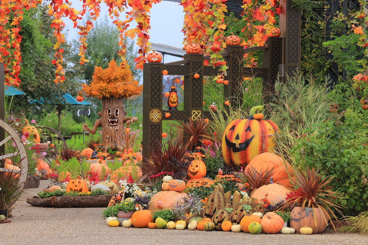 ドライフラワー♡ガーランド♡秋♡紅葉♡ハロウィン【223】 iwafu - 国営越後丘陵公園 秋バラとハロウィン・ハーベスト｜北陸信越