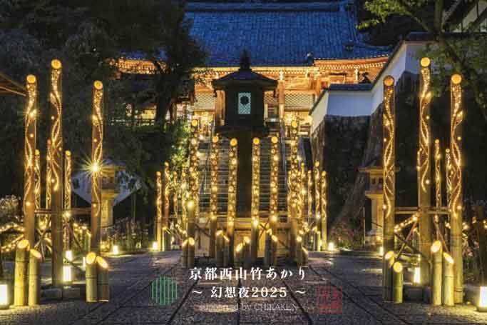 a93e3debfea24304b8f856157c39d4