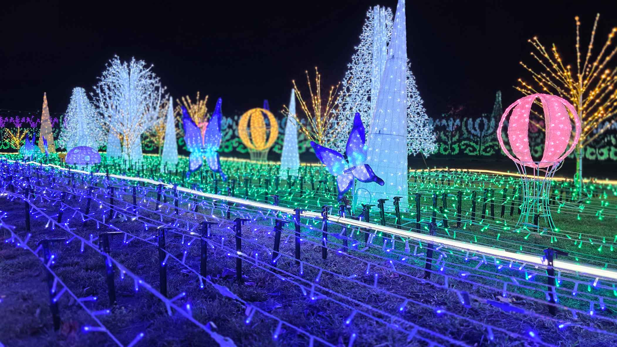 iwafu - つま恋イルミネーション ～もりのさんぽみち～｜日本期間限定