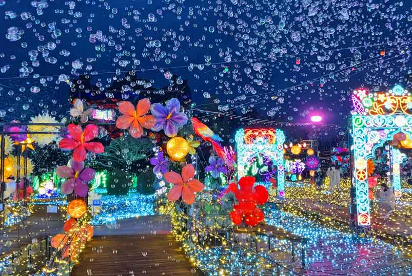 iwafu - Izu Kogen GRANILLUMI ~11th SEASON~｜Japan's Limited-Time