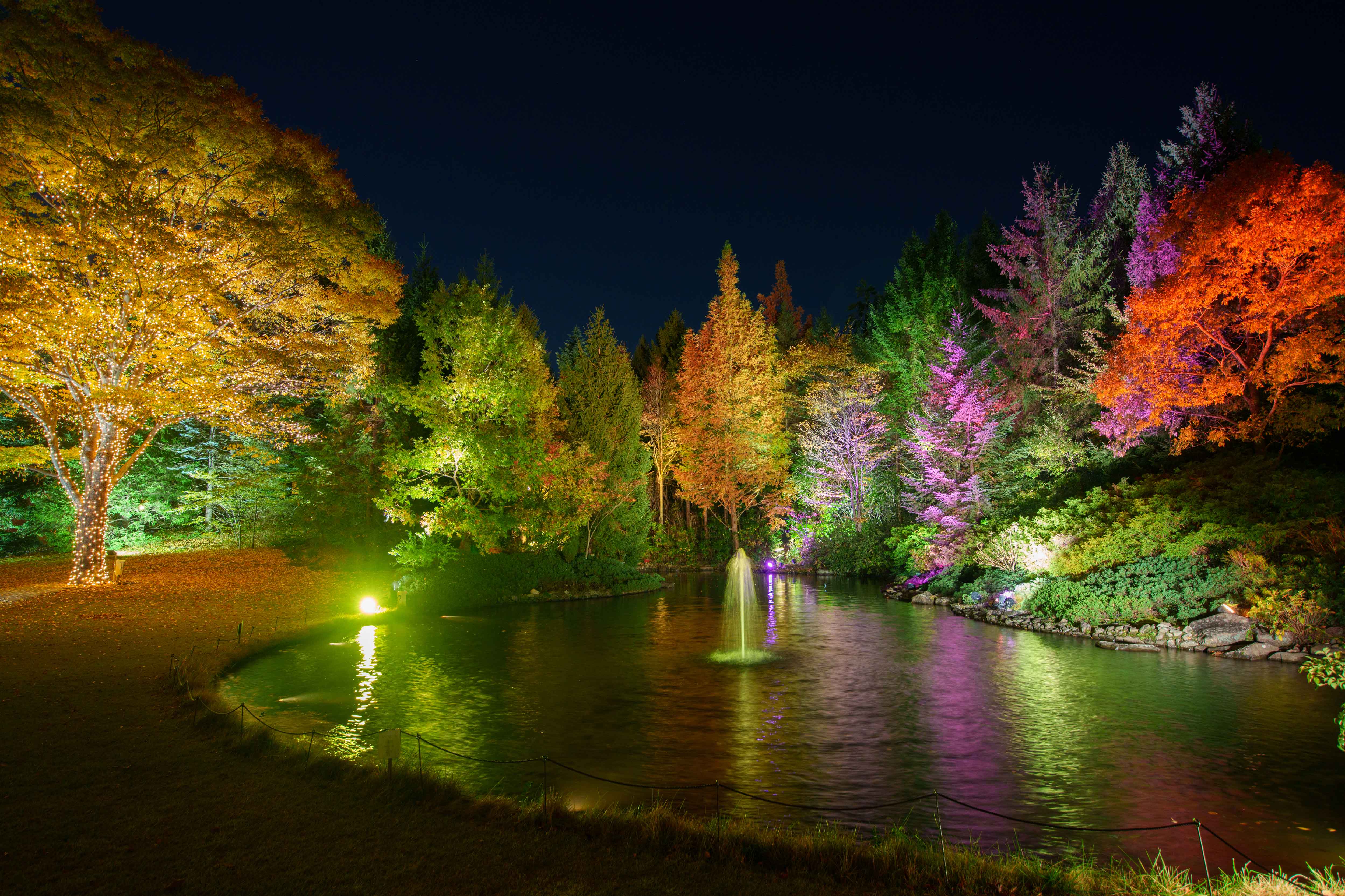 iwafu - Garden Light-Up 2025-2026 