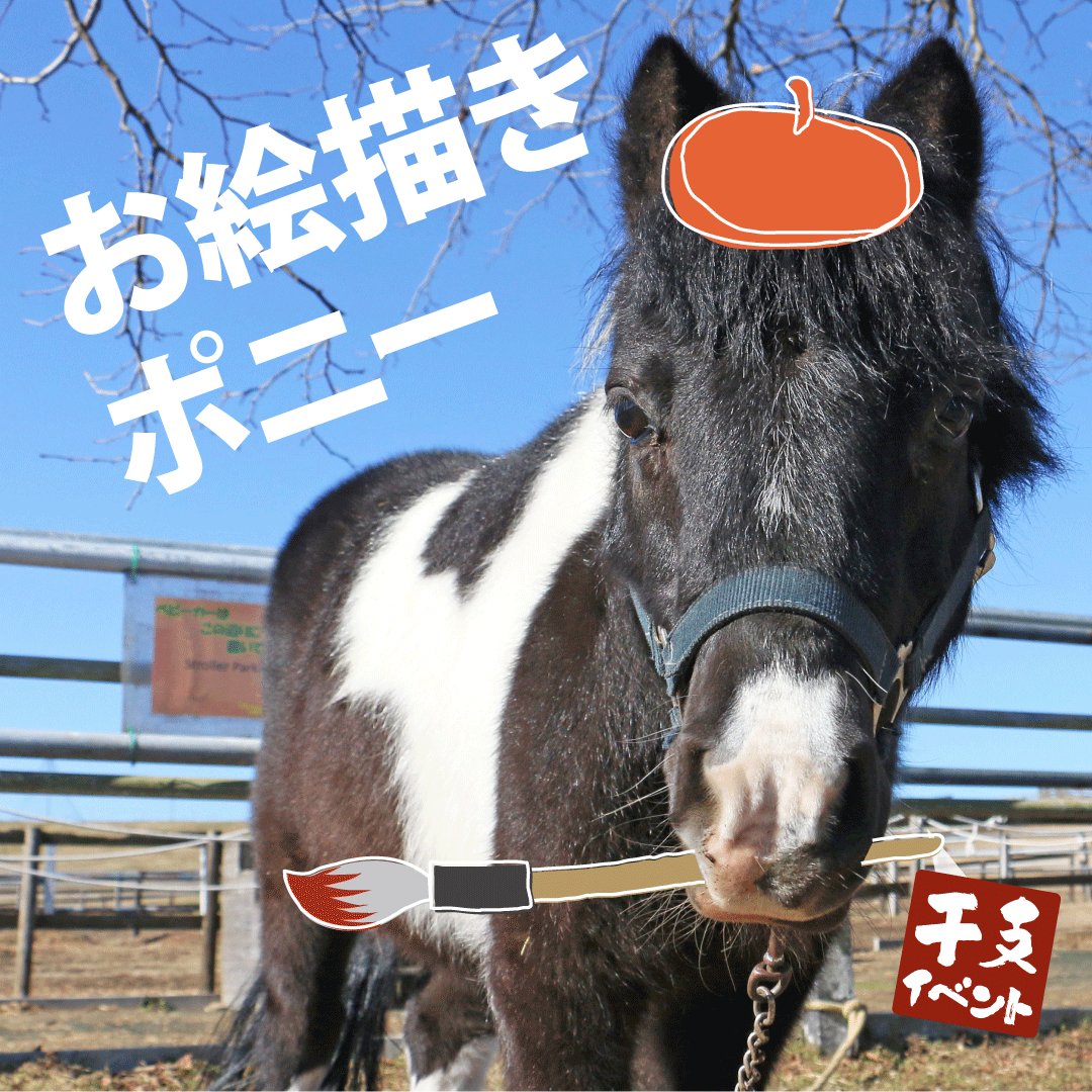 めがね牧場ページ iwafu - マザー牧場 「ひつじの大行進～午年編～」｜日本期間限定文化