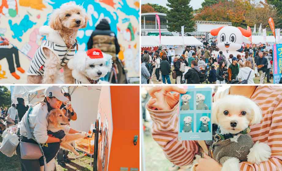 iwafu - ジャパンわんこエキスポ in 駒沢公園｜関東 東京｜日本期間