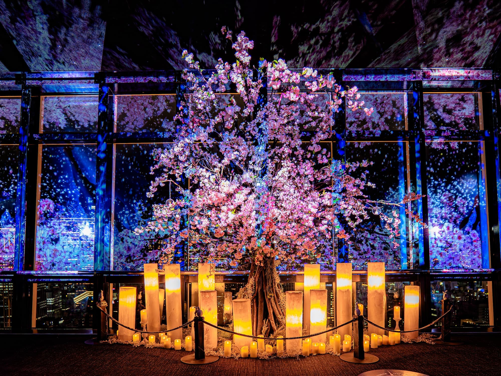 iwafu - TOKYO TOWER CITY LIGHT FANTASIA - Spring Concerto 2026