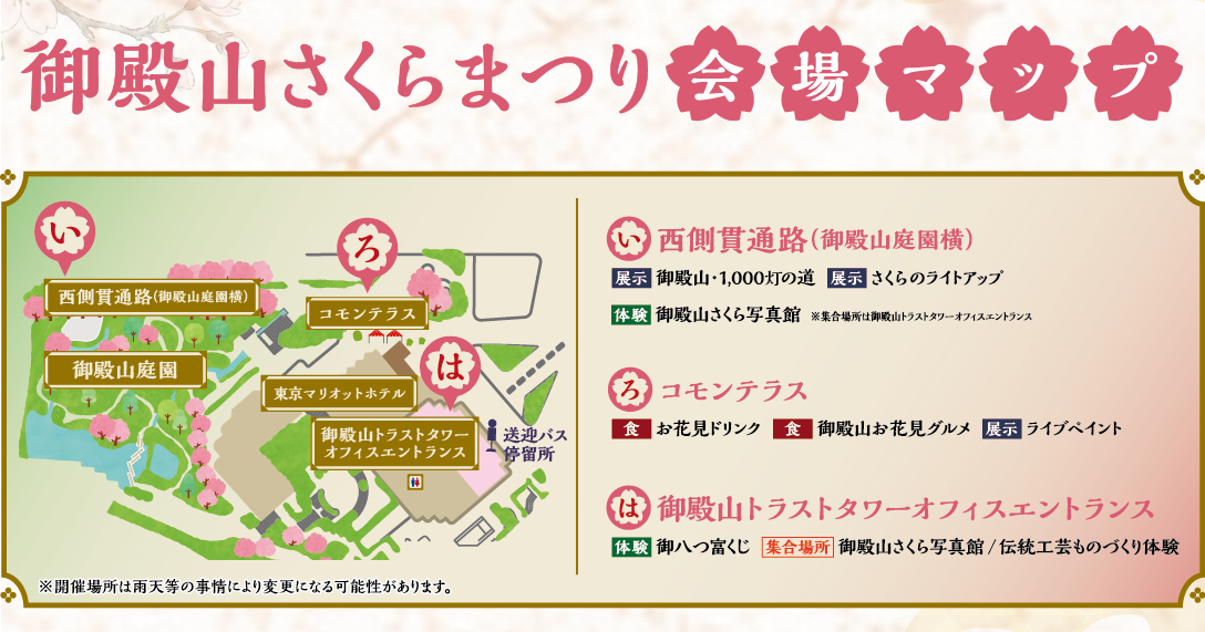 sakurahime 2026年5月お迎え 2026、桜🌸 #さくら #花見 #満開