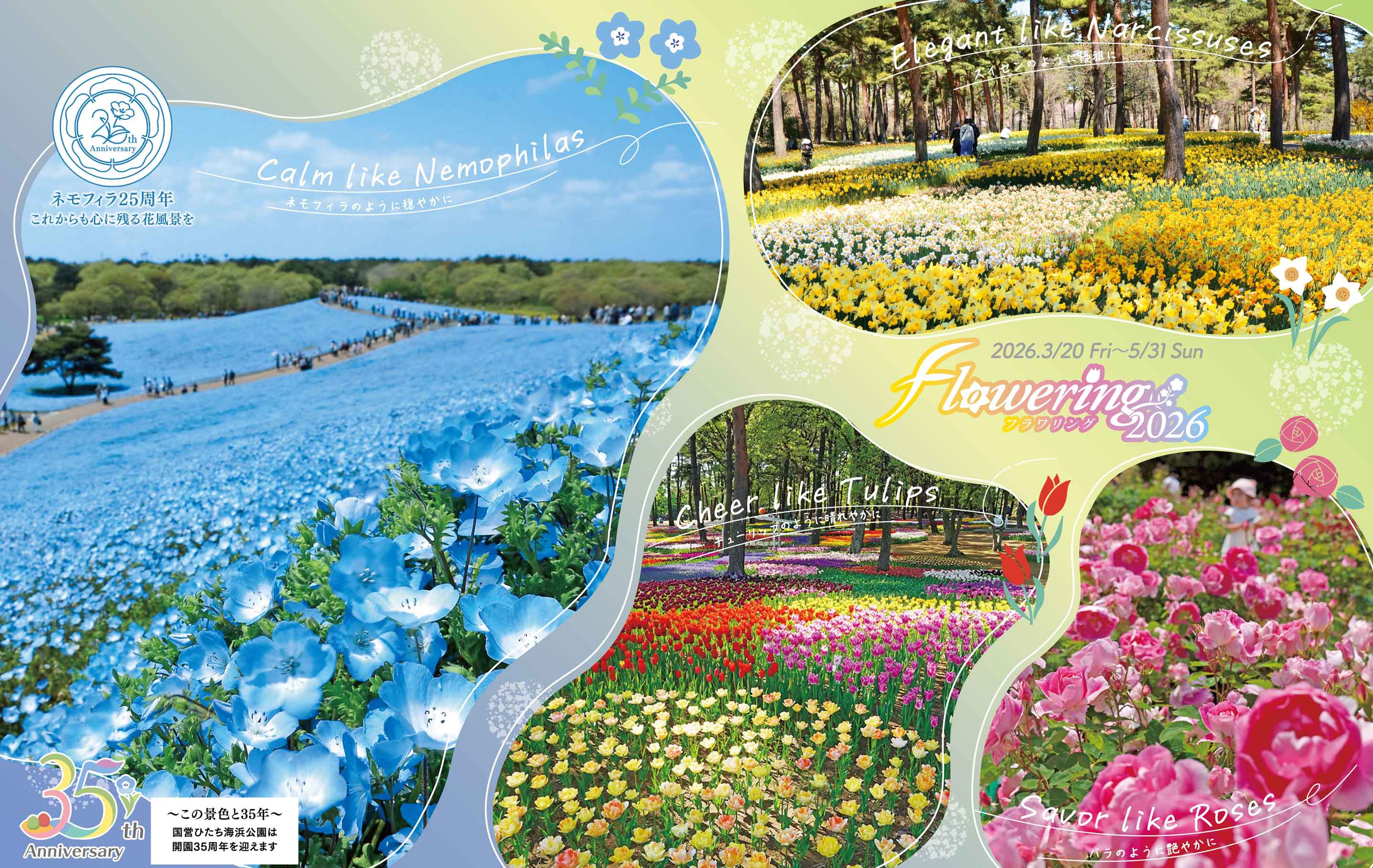 E-122 花園の絵　F6 iwafu - 国営ひたち海浜公園「Flowering2026」｜関東 茨城｜日本期間