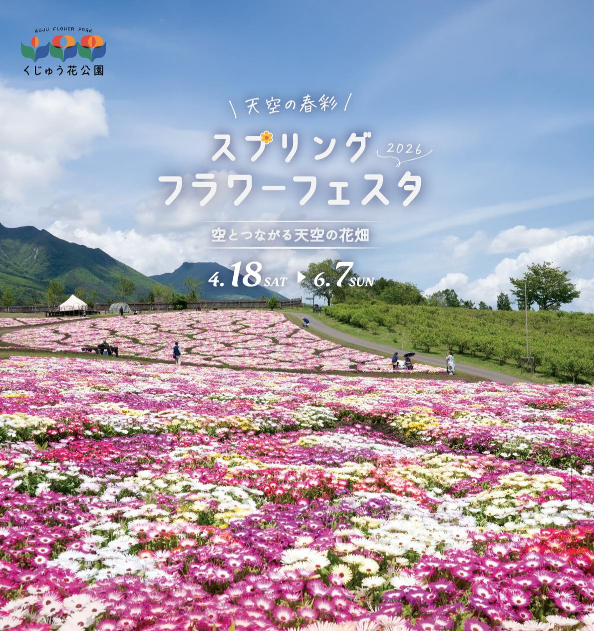 iwafu - 久住花公園天空春色春季花卉嘉年華｜九州大分｜日本期間限定
